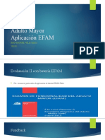 Adulto Mayor, Evaluación II EFAM