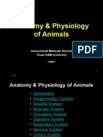 Anatomy and Phisiology Animals