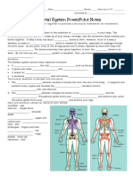 SkeletalSystemNotes PDF