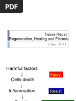 Tissue Repair: Regeneration, Healing and Fibrosis: Li Qun 2016.9