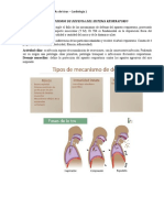 Mecanismos de Defensa Del Sistema Respiratorio