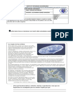 Taller Virtual Ciencias 1