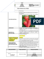 Pautas Ficha Técnica de Una Fruta