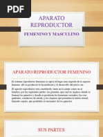 Aparato Reproductor