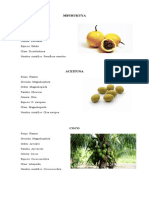 Taxonomia de Las Frutas Paraguayas