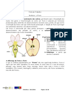 Frutos Ficha