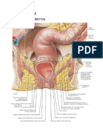 EPISOGRAFIA