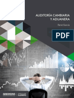 Auditoria Cambiaria Eje3