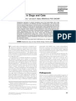 Histoplasmosis in Dogs and Cats: Catharina Brömel, DR - Med.Vet., and Jane E. Sykes, BVSC (Hons), PHD, Dacvim