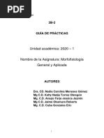 Wiener Guia de Practica 20-I 3-5-20 PDF