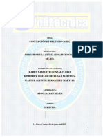 Informe Belem Do para