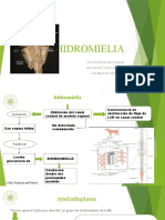 HIDROMIELIA