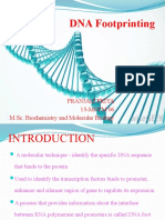 DNA Footprinting: Pranjali Priya 15-MSVM 06 M.Sc. Biochemistry and Molecular Biology