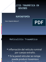 Reticulitis Traumatica