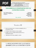 Temática 3 y 4 - Desarrollo Endógeno en La Construcción