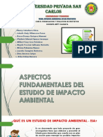 Estudio Ambiental de Un Proyecto PDF