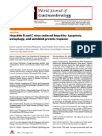 Hepatitis B and C Virus-Induced Hepatitis: Apoptosis, Autophagy, and Unfolded Protein Response