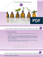 Apresentação Curso Oficial Online Florais de Saint Germain Prof. Silvia Rischbieter