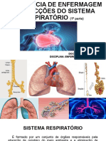 Sistema Respiratório