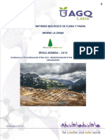 INFORME COMPLETO IX MEIAsd y II ITS IX MEIAsd RD N°483-2015 - MEMDGAAM RD N 348 - 2017-MEMDGAAM II ITS EXPLORACIÓN - Pagenumber - Pagenumber PDF