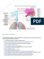 Ejercicios Respiratorio