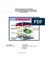 Elementos Citoesqueleticos y Matriz Citoplasmatica