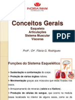 ANATOMIA Aula 2