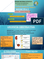 Uropatia Obstructiva