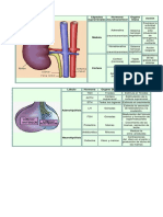 HMo PDF