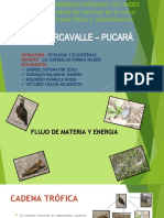 Pucará Marcavalle