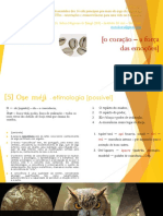 Ose Méjì 08.05 PDF