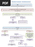 Diagrama de Flujo RPM