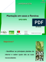 Plantas Interior