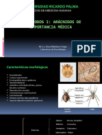 Clase 5. Artrópodos I-Arácnidos