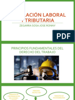 Principios Del Derecho Laboral