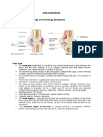 Knee Osteoarthritis