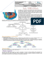 11 Guia de Naturales