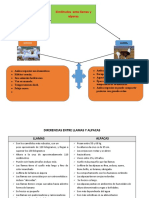 Diferencias Entre Llamas y Alpacas