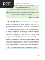 Trabajo Maestria Unsl Pnie Cebreros PDF