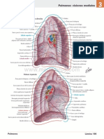 Atlas Cara Medial de Ambos Pulmones