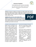 Informe 3 Bioquimica