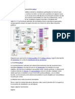 Las Instituciones Gubernamentales