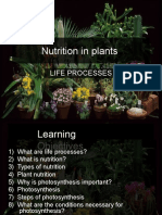 Nutrition in Plants: Life Processes