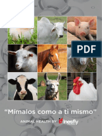 Inesfly, Productos Veterinarios