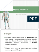 Sistema Nervoso