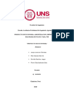 Economia Proyecto Terminado Unido Todo