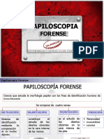 Papiloscopia Forense