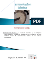 Fermentacion Lactica