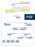 Chordate Classification:: Lecture Two Assit - Lect.Maha Mustafa