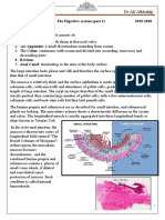 Lecture 10 General Histology Digestive System Part 2